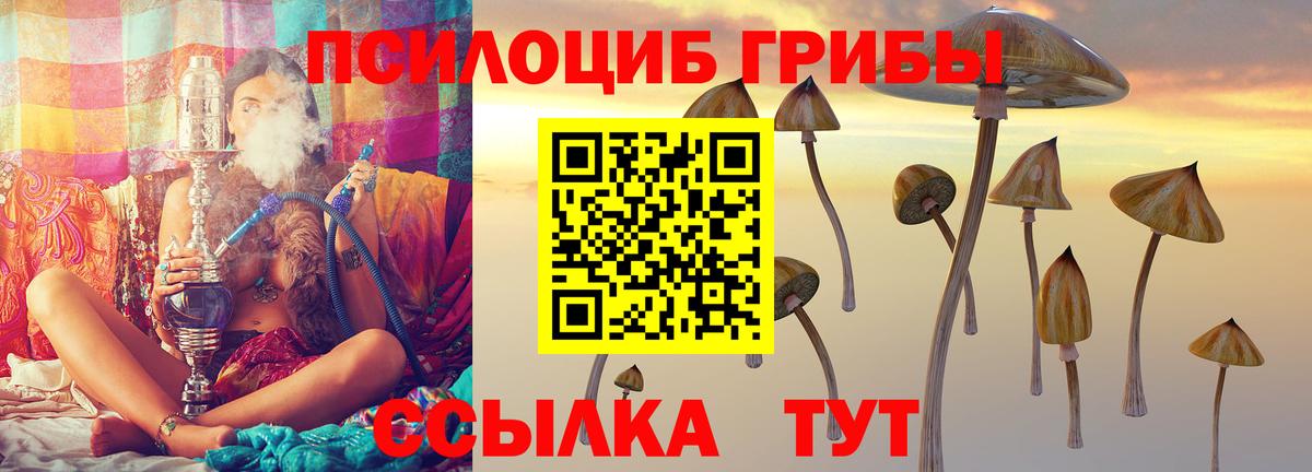 Галлюциногенные грибы GOLDEN TEACHER Черногорск