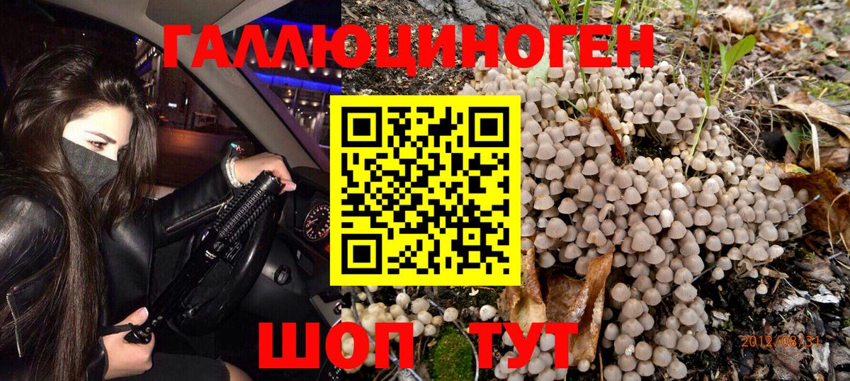 Псилоцибиновые грибы Psilocybine cubensis  Вход с VPN  Черногорск  наркота  Галлюциногенные грибы Cubensis 